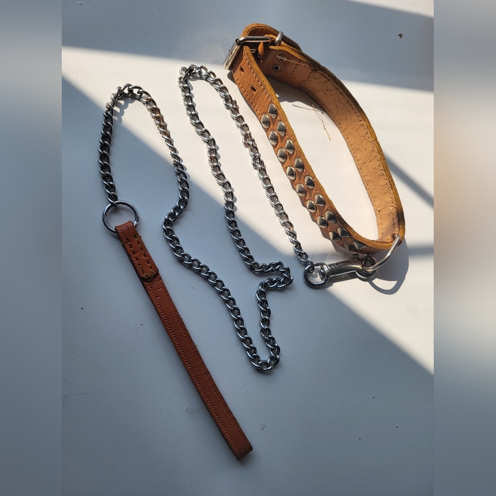 Antique Leather Collar and Leash